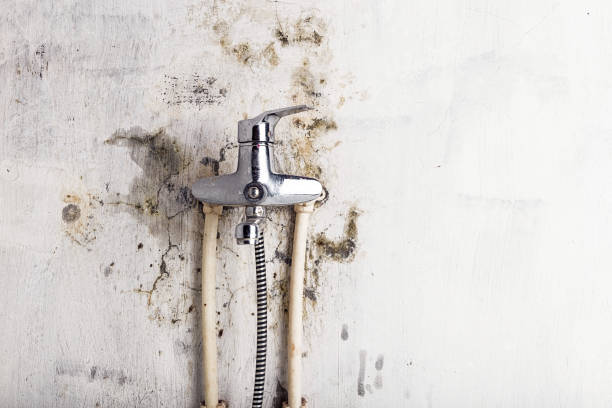 Best Residential Mold Removal  in Sellersville, PA