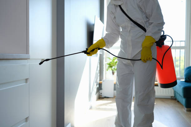 Best Mold Removal Process  in Sellersville, PA