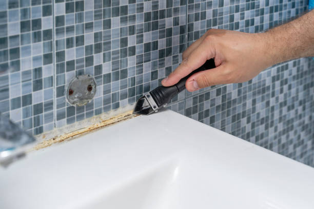 Best Best Mold Removal Companies  in Sellersville, PA