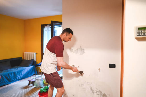 Best Mold Testing and Removal  in Sellersville, PA